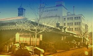 SIDI BEL ABBES 517  HALLES